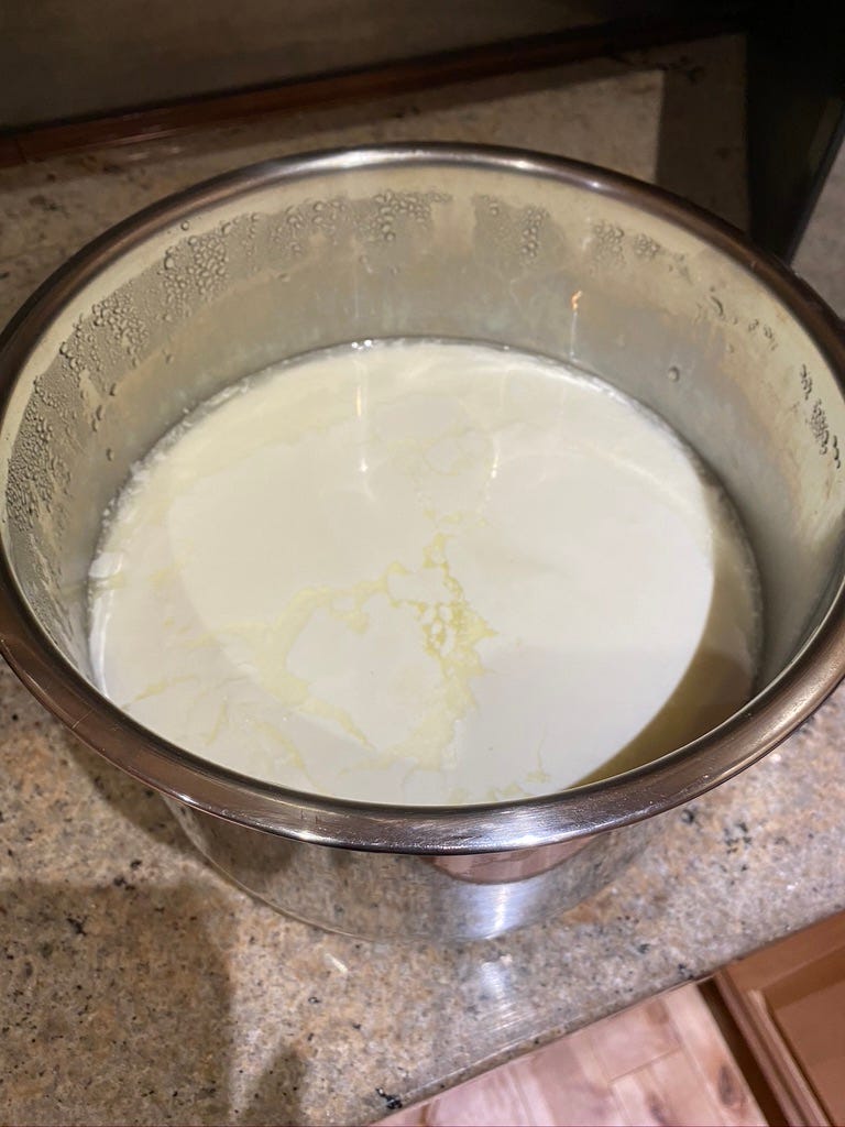 Good batch — some liquid on the top which is normal, but it’s pretty well set (loose compared to store bought yogurt — but straining it will make it as firm as you want.
